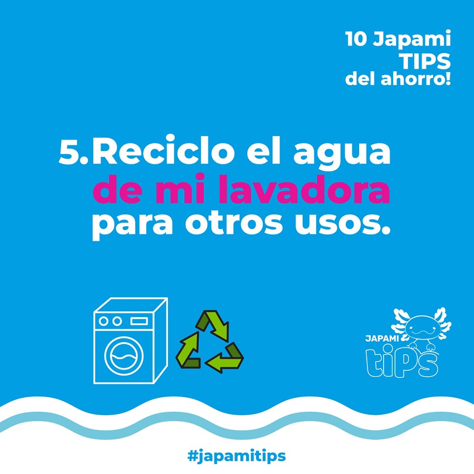 japami-tip-1.jpg